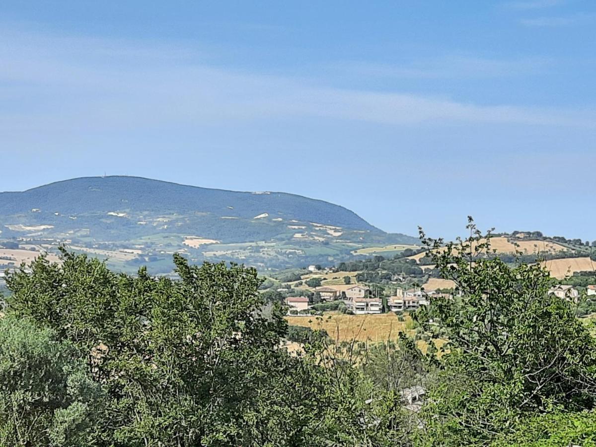 Residence Accordeon Castelfidardo Dış mekan fotoğraf